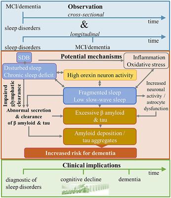 Associations of sleep disorders with all-cause MCI/dementia and different types of dementia – clinical evidence, potential pathomechanisms and treatment options: A narrative review